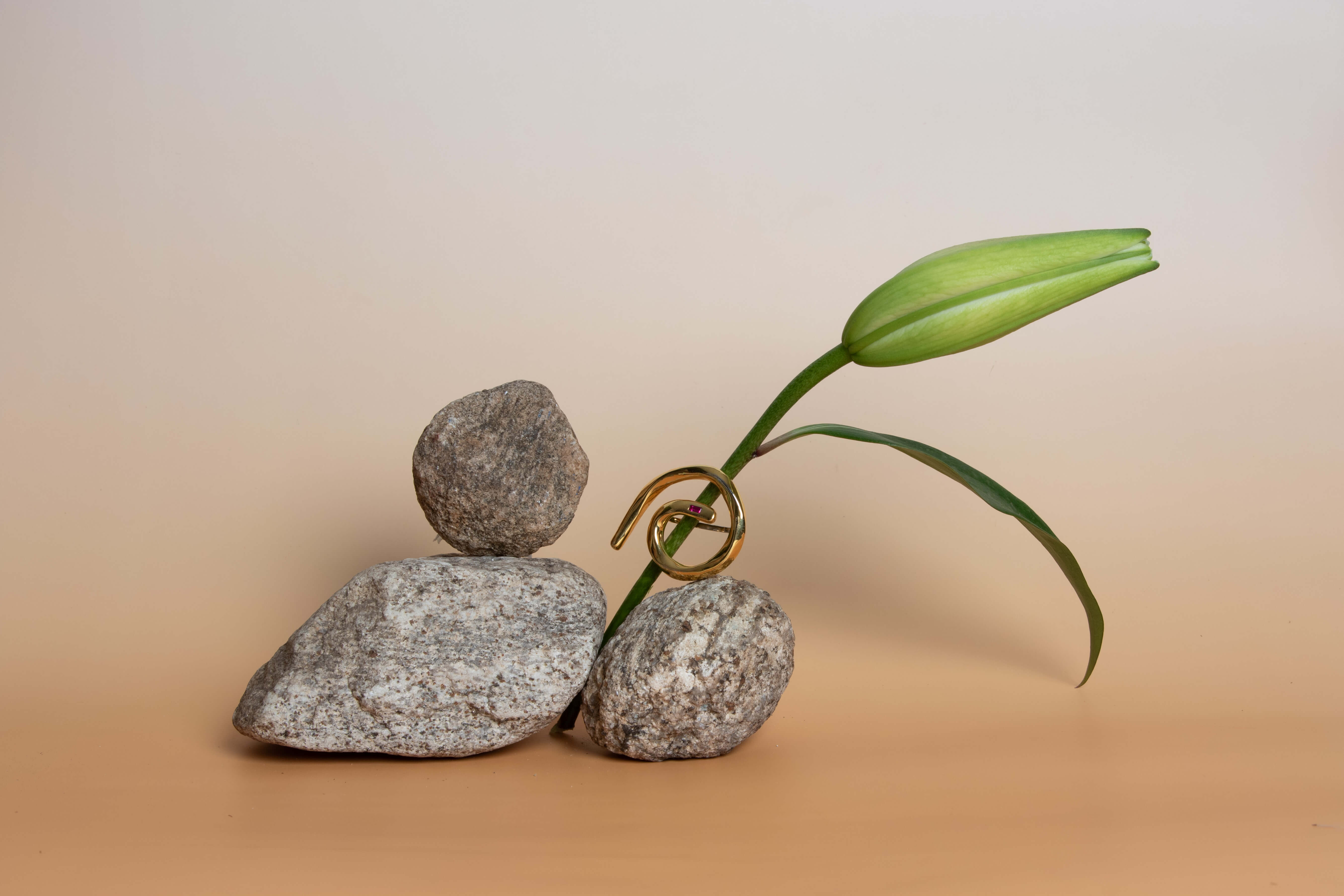 Anel dourado entre folhas verdes e pedras