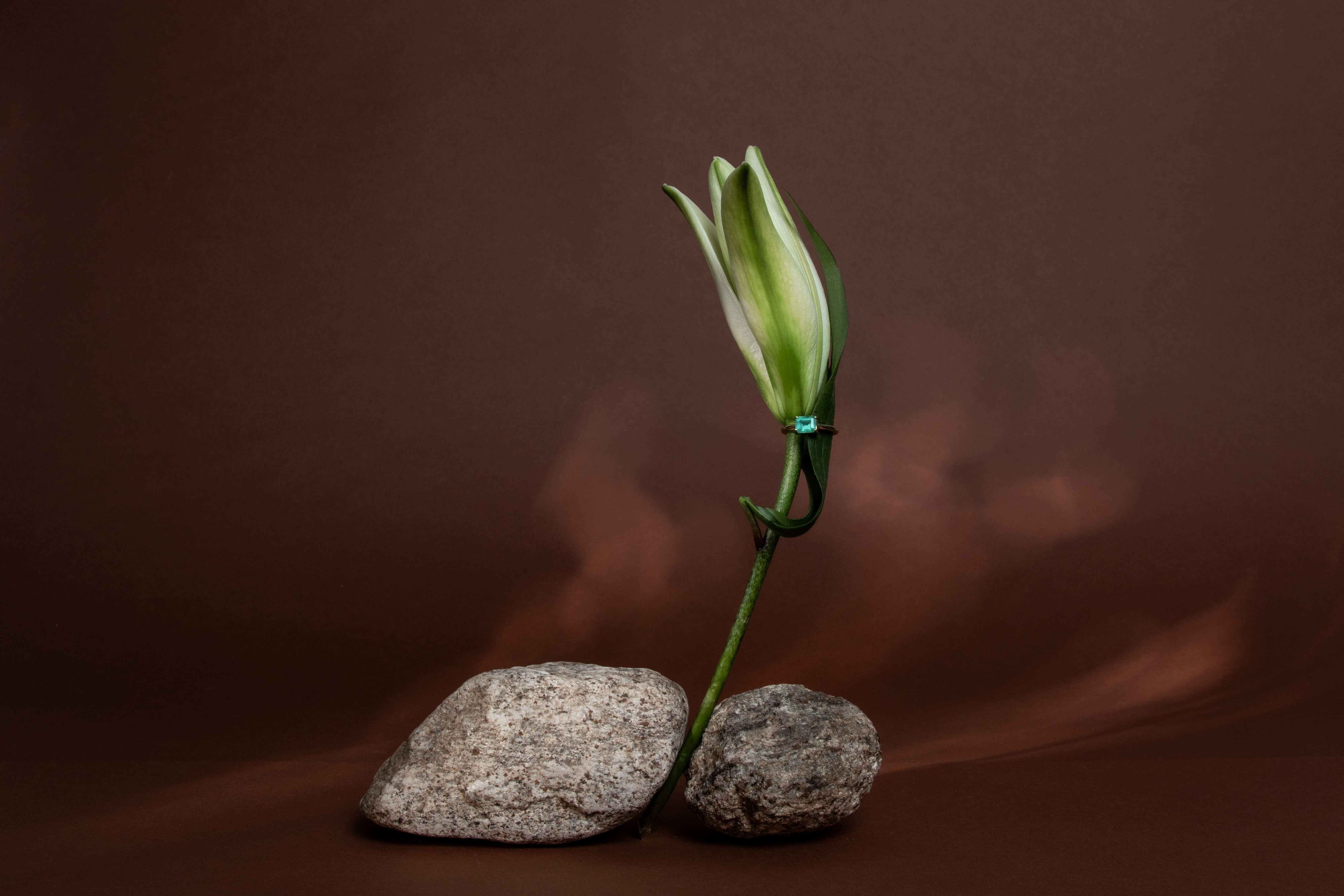 Anel com esmeralda em flor de lírio sobre pedras